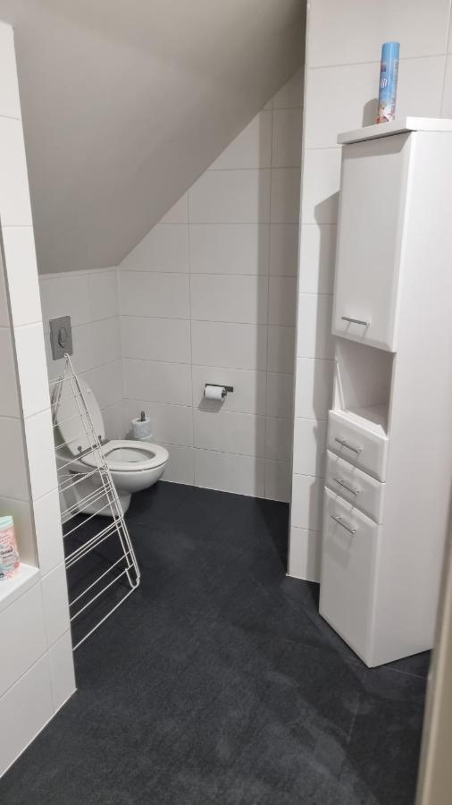 Apartman Rokytnice, Rokytno 20 로끼뜨니쩨나드이제로우 외부 사진